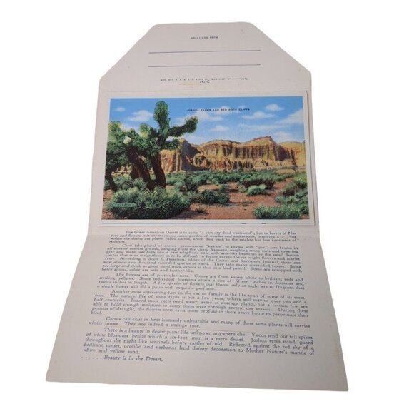 Vintage Postcard Fold Out The Desert Of The West USA‎ 1940s Unposted Color - Picture 5 of 6
